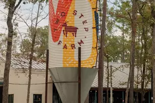 9018 Babbling Brook Dr, Montgomery, TX 77316 - Photo 12