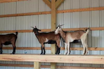 9018 Babbling Brook Drive, Montgomery, TX 77316 - Photo 18