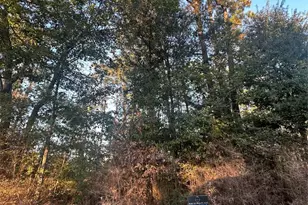 Tbd Royal Shores Dr, Conroe, TX 77303 - Photo 6