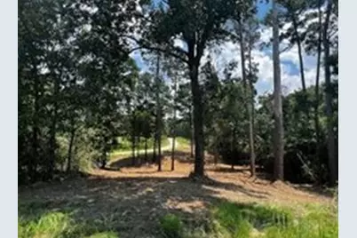 Tbd Valleyview Drive, Onalaska, TX 77360 - Photo 2