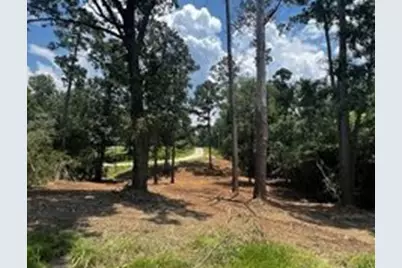 Tbd Valleyview Drive, Onalaska, TX 77360 - Photo 4