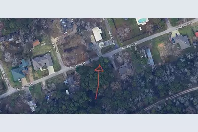 Lots 19 and 20 Bluebonnet, Livingston, TX 77351 - Photo 2