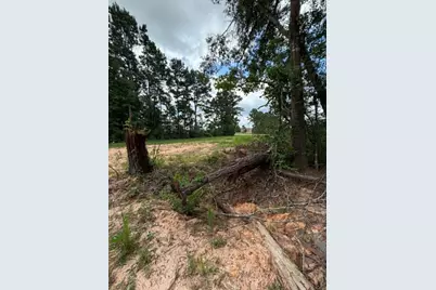 1178 Road 5913, Cleveland, TX 77327 - Photo 4