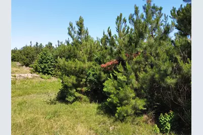 2 Tbd County Road 295, Garrison, TX 75946 - Photo 2