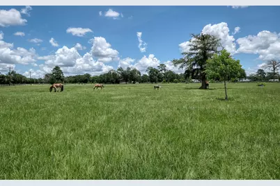 1560 Bowler Road, Waller, TX 77484 - Photo 46