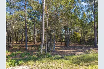 195 Bunkhouse Road, New Waverly, TX 77358 - Photo 14