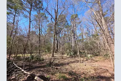 Tbd Fm 156, Coldspring, TX 77331 - Photo 1