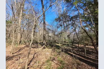 Tbd Fm 156, Coldspring, TX 77331 - Photo 2