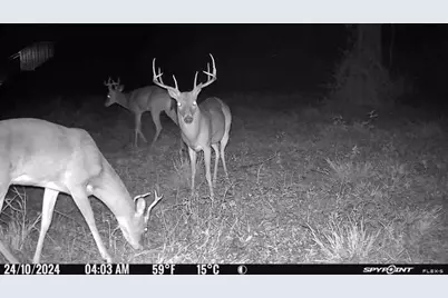 757 County Road 109, Devers, TX 77538 - Photo 50