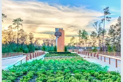 228 Silver Sage Court, Conroe, TX 77304 - Photo 22