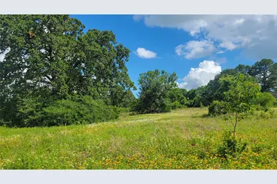 3133 Rolling Ridge Lane, Brenham, TX 77833 - Photo 8