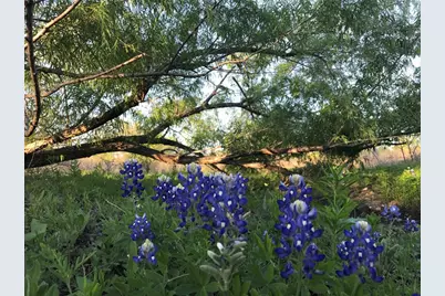 15501 Goforth Road, Buda, TX 78610 - Photo 10