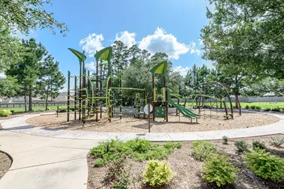 29474 Forest Floor Lane, Spring, TX 77386 - Photo 48