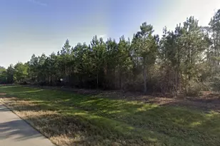 15988 Wood Grv Wy, Willis, TX 77378 - Photo 8