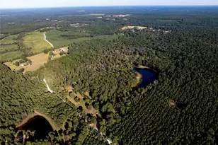 3544 County Rd 1170, Kennard, TX 75847 - Photo 10