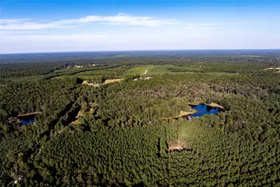 3544 County Road 1170, Kennard, TX 75847 - Photo 14