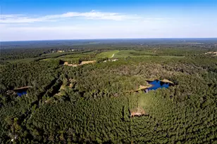 3544 County Rd 1170, Kennard, TX 75847 - Photo 14