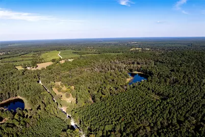 3544 County Road 1170, Kennard, TX 75847 - Photo 12