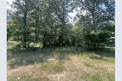 Tbd Hidden Oaks Drive, Point Blank, TX 77364 - Photo 2