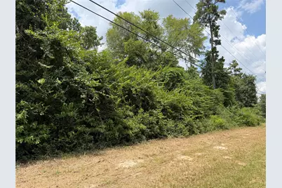 19895 Martha Road, Montgomery, TX 77316 - Photo 2