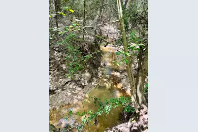 0 Slim Palmer Rd, Zavalla, TX 75980 - Photo 10