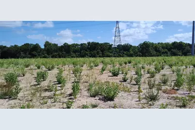 15506 Pinehurst Lane, Santa Fe, TX 77517 - Photo 12