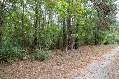 Lot 74 The Woods Road, Coldspring, TX 77331 - Photo 10