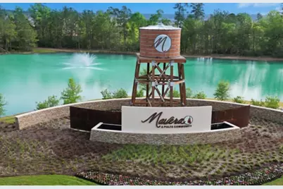 14345 Dapple Bluff Lane, Conroe, TX 77302 - Photo 4