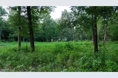 235 Panther Lane, Livingston, TX 77351 - Photo 6