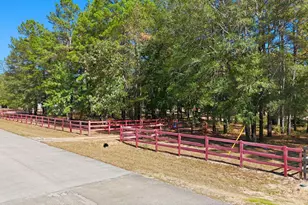 2020 White Buck Court, Cleveland, TX 77328 - Photo 22