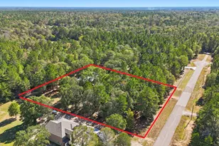 2020 White Buck Court, Cleveland, TX 77328 - Photo 24