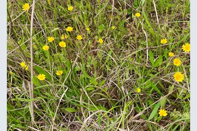 800 Archie Lane, Belton, TX 76513 - Photo 32