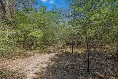 Lots 1-3 County Road 377, Marquez, TX 77865 - Photo 10
