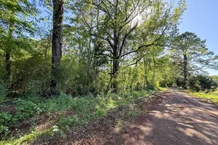 Tbd Flat Rd, Milam, TX 75930 - Photo 1