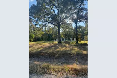 162 Linnwood Drive, Woodbranch, TX 77357 - Photo 2