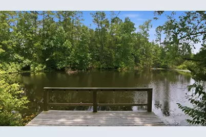 223 Pin Oak Lane, Magnolia, TX 77354 - Photo 46