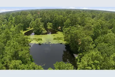 223 Pin Oak Lane, Magnolia, TX 77354 - Photo 48