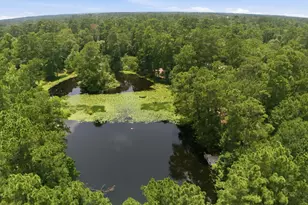 223 Pin Oak Ln, Magnolia, TX 77354 - Photo 48
