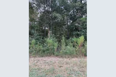 15223 Forest Grove Drive, Willis, TX 77378 - Photo 2