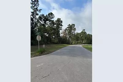 15223 Forest Grove Drive, Willis, TX 77378 - Photo 10