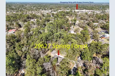 29627 Spring Forest Drive, Spring, TX 77386 - Photo 32