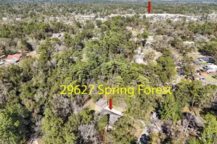 29627 Spring Forest Dr, Spring, TX 77386 - Photo 32