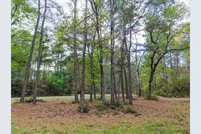 15777 Post Oak Road, Plantersville, TX 77363 - Photo 18