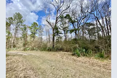 0 Puppy Lane, Crosby, TX 77532 - Photo 1