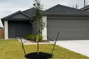 18221 Descartes St, New Caney, TX 77357 - Photo 1