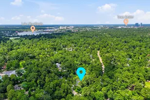 10916 Fawnlily St, The Woodlands, TX 77380 - Photo 46