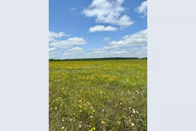 0 County Road 48, Angleton, TX 77515 - Photo 4