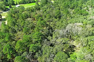 Tbd Bryan Ln, Willis, TX 77378 - Photo 24