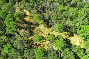 Tbd Bryan Ln, Willis, TX 77378 - Photo 26