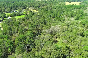 Tbd Bryan Ln, Willis, TX 77378 - Photo 22